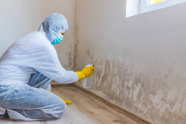 Bathroom Mold Removal assessment in Avenel bathroom