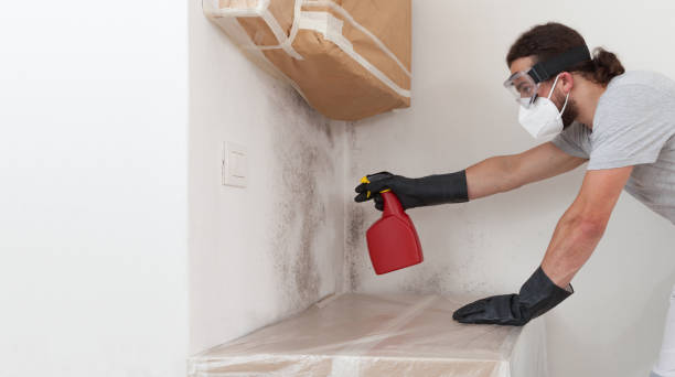 Basement Mold Remediation treatment on basement walls in Avenel