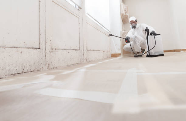 Black mold remediation team in Avenel